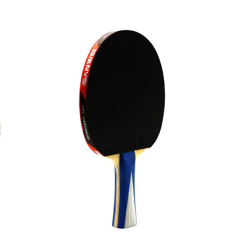 Sanwei TAIJI 710 Professional Table Tennis Racket – High-Speed Performance, Enhanced Control, Premium Grip – Ideal for Advanced Players