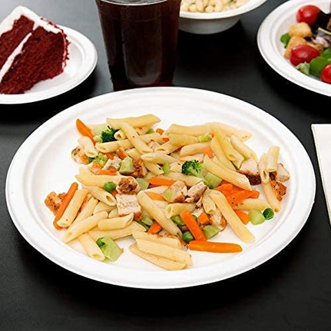 Bagasse Disposable Plates (Pack Of 10Pcs) – Eco-Friendly Disposable Food Packaging | Essentials