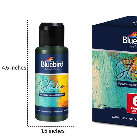 Bluebird Acrylic Colours 6 Primary Shades 6x100ml – Vibrant Colors, Versatile Use, Non-Toxic – Acrylic Paint Set | Perfect for Color Mixing and Techniques