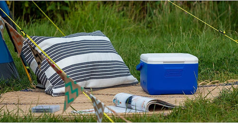 Coleman Cooler 5 Quart Performance Blue – 5 Quart Portable Cooler – Ice Box | Home & Kitchen