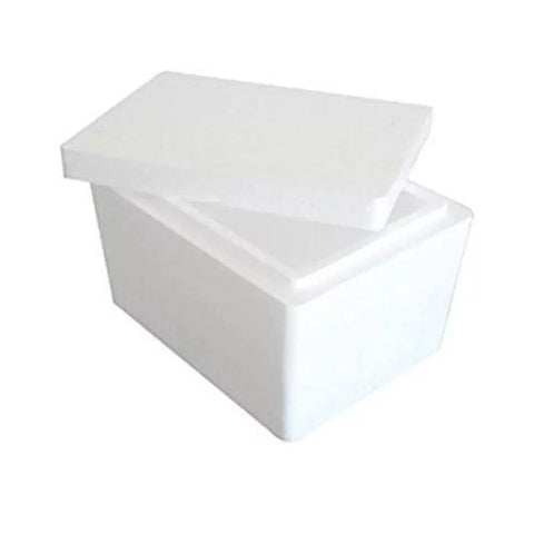 Disposable Ice Boxes – Versatile, Convenient, and Disposable Ice Storage Solutions for Every Occasion