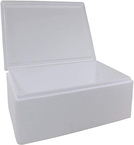 Disposable Ice Boxes – Versatile, Convenient, and Disposable Ice Storage Solutions for Every Occasion