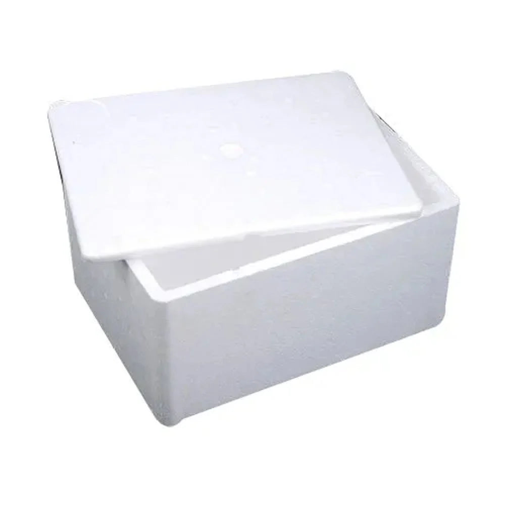 Disposable Ice Boxes – Versatile, Convenient, and Disposable Ice Storage Solutions for Every Occasion