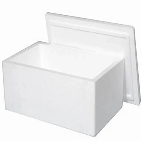 Disposable Ice Boxes – Versatile, Convenient, and Disposable Ice Storage Solutions for Every Occasion