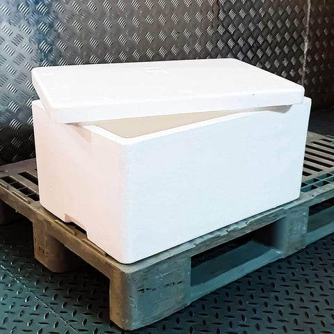 Disposable Ice Boxes – Versatile, Convenient, and Disposable Ice Storage Solutions for Every Occasion