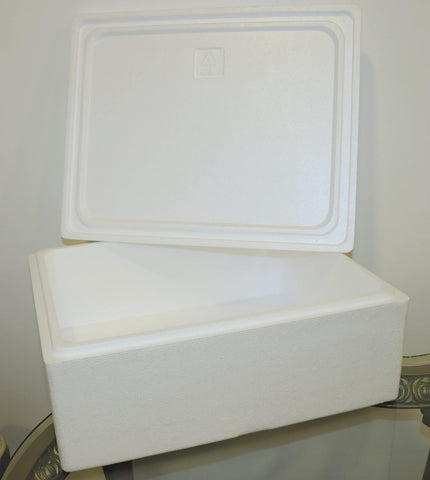 Disposable Ice Boxes – Versatile, Convenient, and Disposable Ice Storage Solutions for Every Occasion