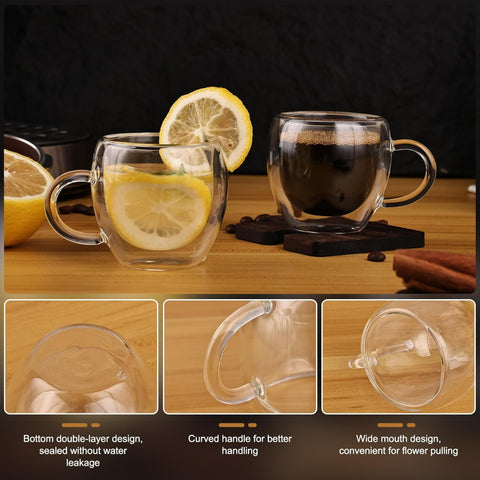 Double Wall Glass Coffee Mug With Handle