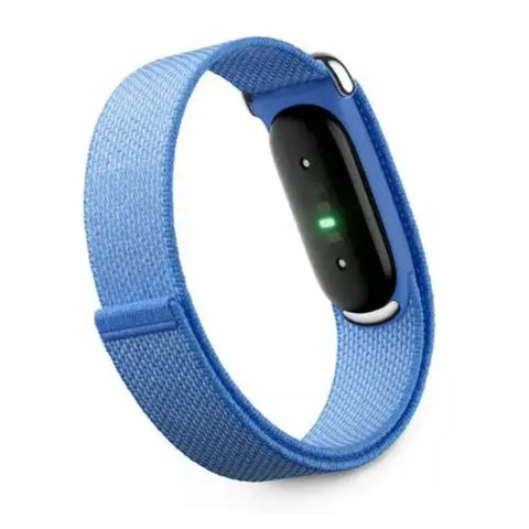Google Fitbit Air