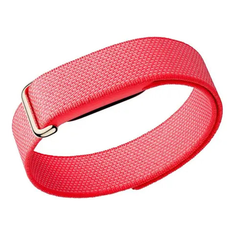 Google Fitbit Air