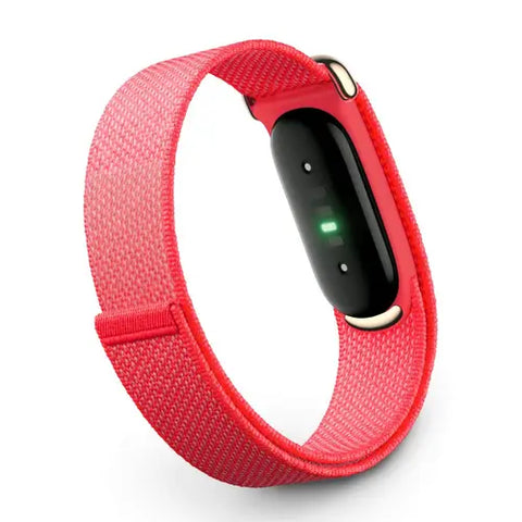 Google Fitbit Air