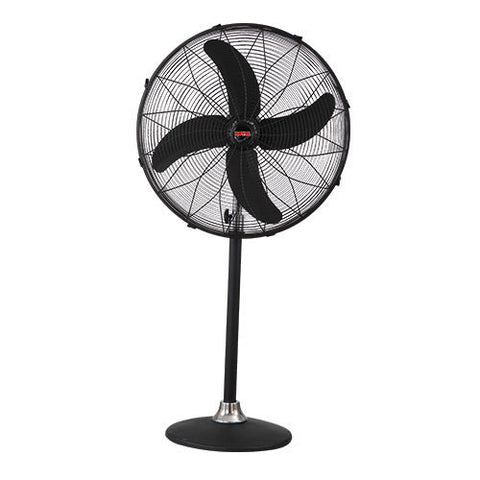 Royal Deluxe Pedestal Fan – High Efficiency, Adjustable, Stylish Design – Cooling | Perfect for Any Room