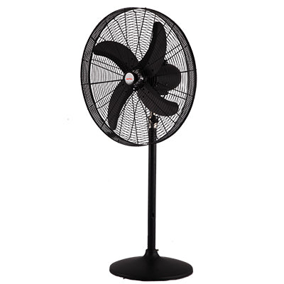 Royal Deluxe Pedestal Fan – High Efficiency, Adjustable, Stylish Design – Cooling | Perfect for Any Room