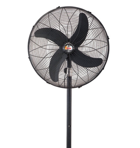 Royal Deluxe Pedestal Fan – Energy Saver, Adjustable Height, High Performance – Cooling | Great for Any Room