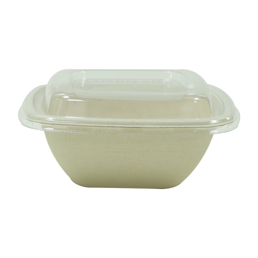 Stylish Square Bagasse Bowl – Eco-Friendly, Elegant Disposable Bowl for Soups and Salads