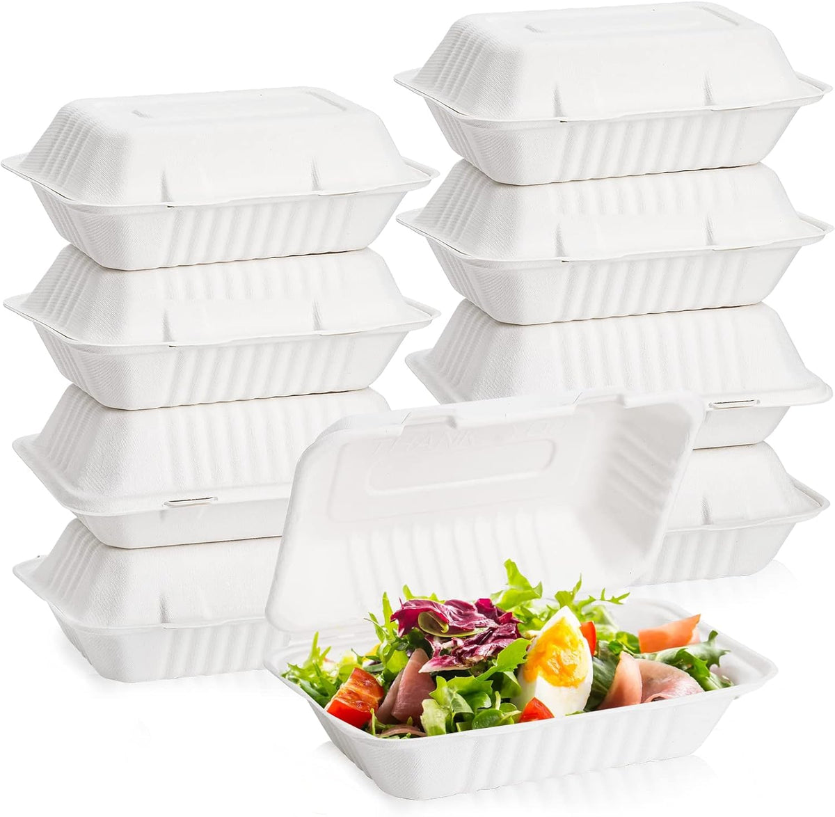 Styrofoam Containers 1000gm FP-19 – 1000gm Styrofoam Food Container – Disposable Food Packaging | Disposables