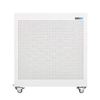 Sunbird Blast Mini Air Purifier