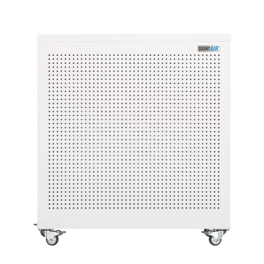 Sunbird Blast Mini Air Purifier
