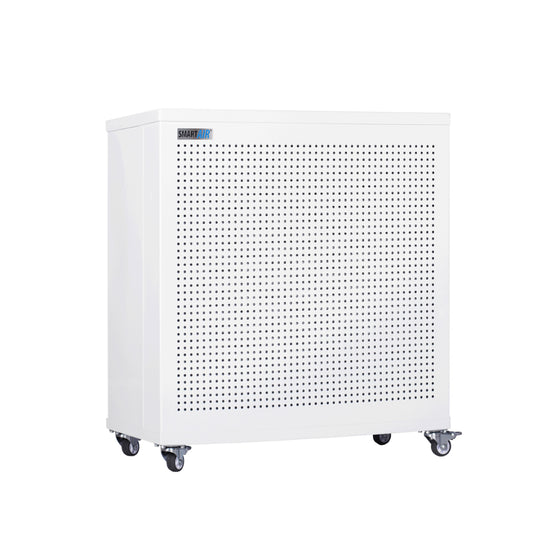 Sunbird Blast Mini Air Purifier