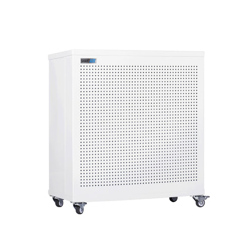 Sunbird Blast Mini Air Purifier