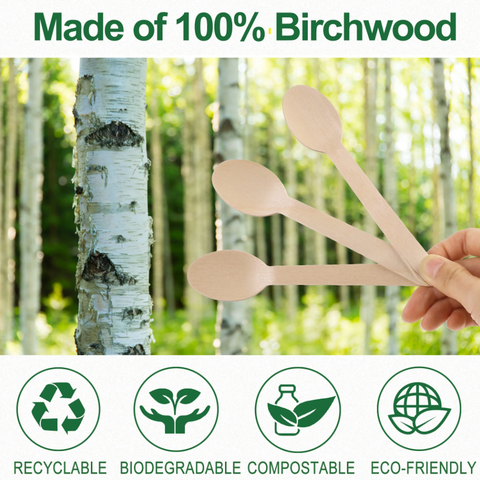 Wooden Spoon –  (Pack Of 10Pcs) Biodegradable Wooden Cutlery | Essentials