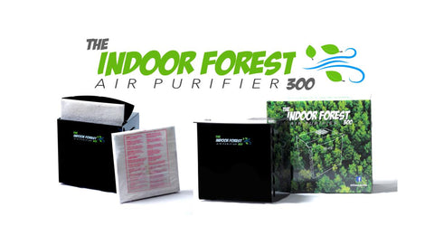 iForest 301 Air Purifier – High performance, Quiet, Compact – Air Purifier